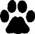 paw
